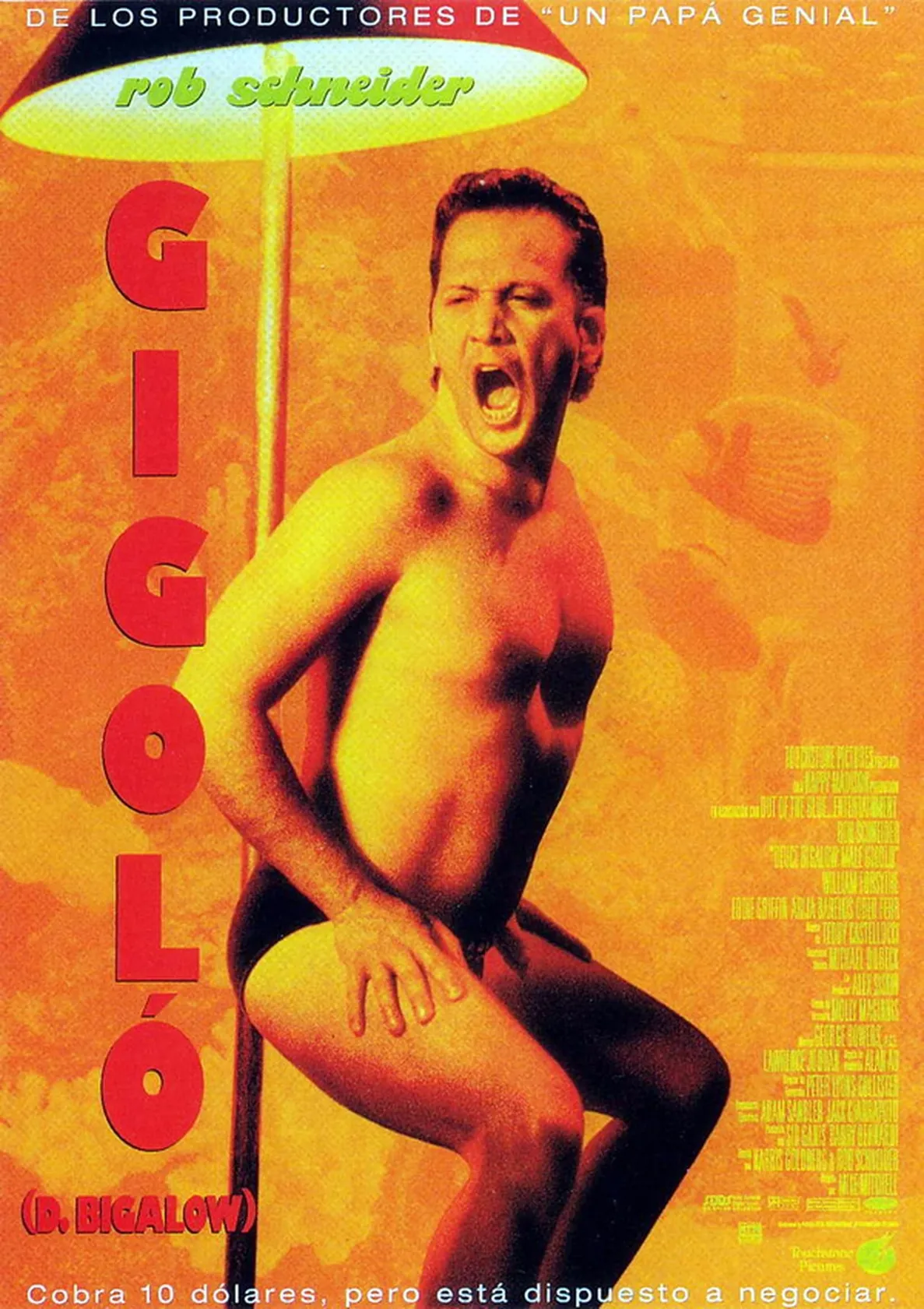 Gigolô por Acidente