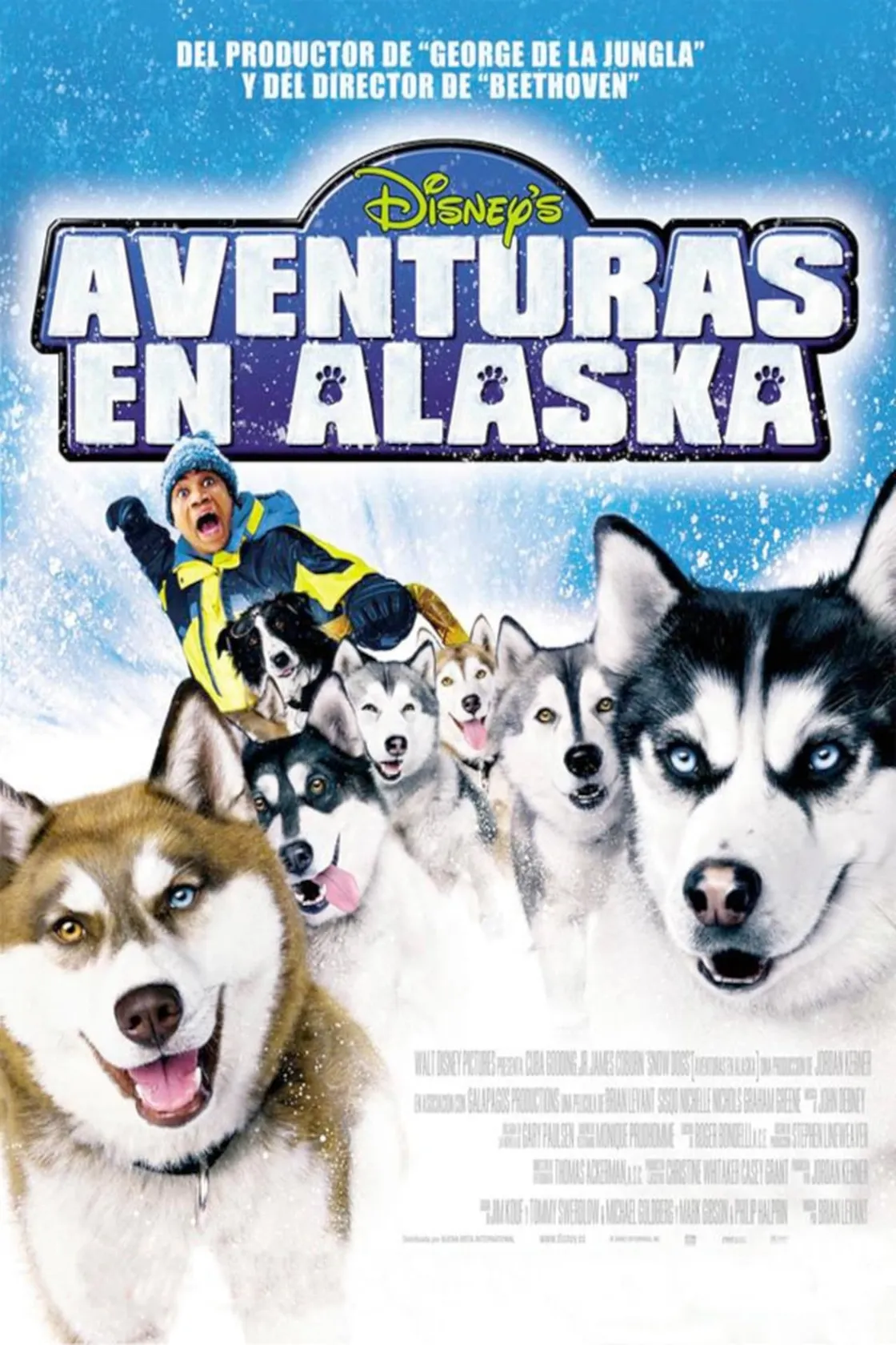 Neve pra Cachorro
