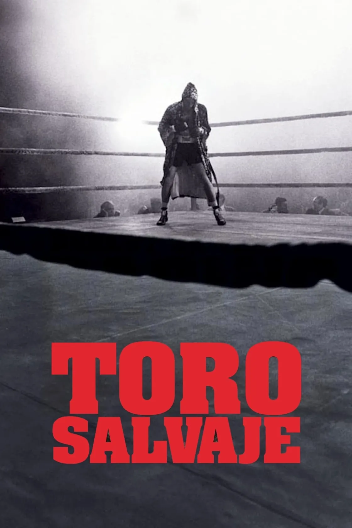Touro Indomável