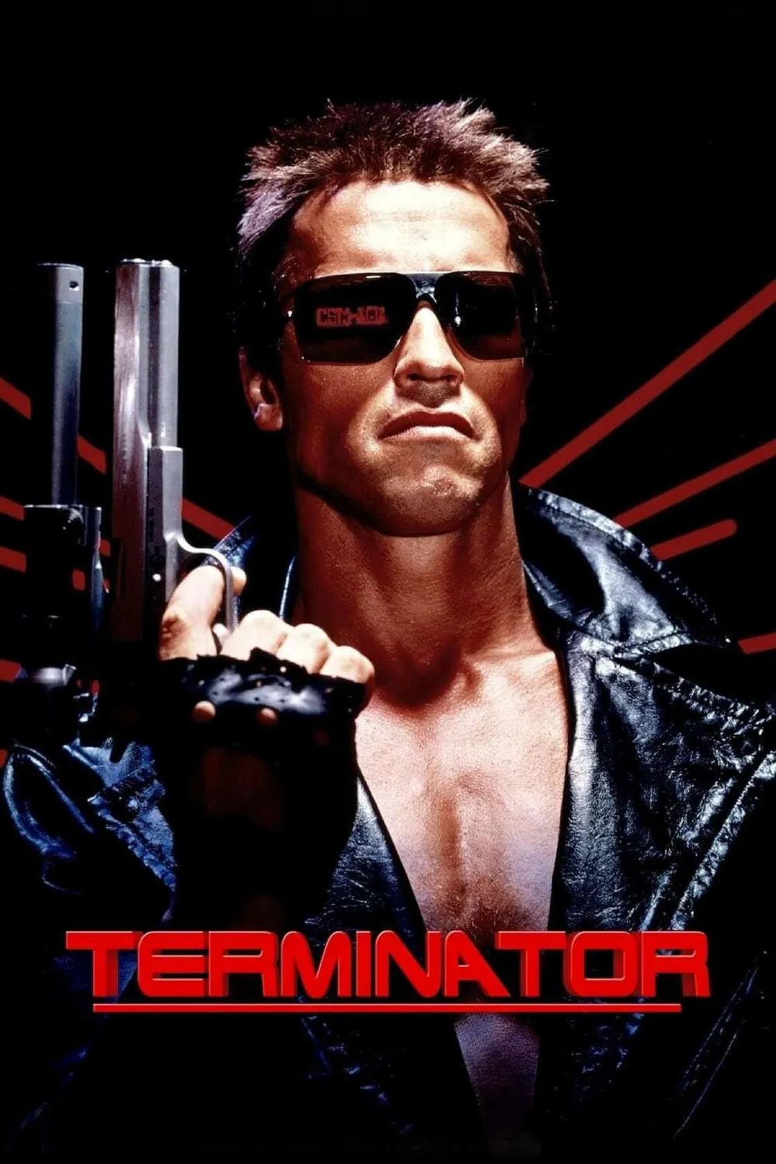 O Exterminador do Futuro