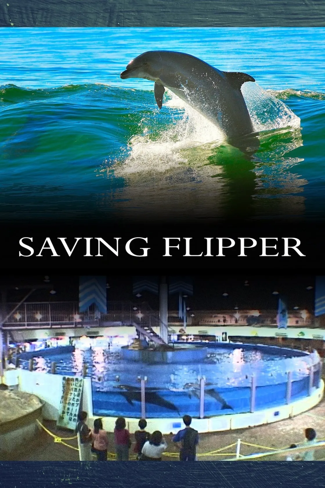 Flipper