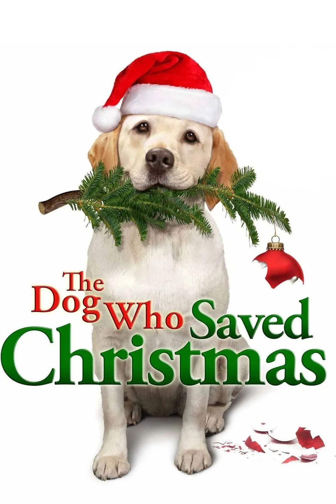 El perro que salvo la Navidad