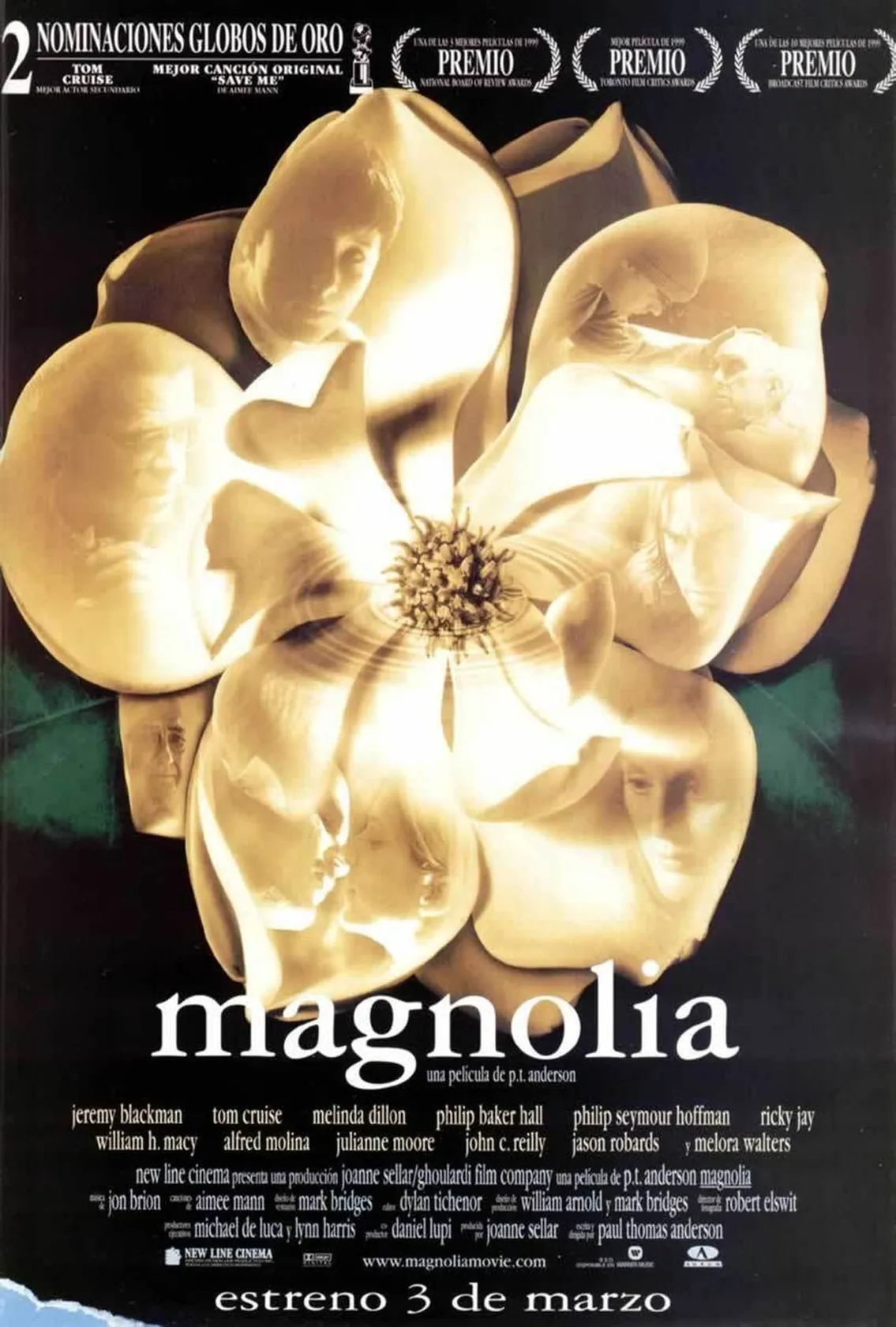 Magnólia