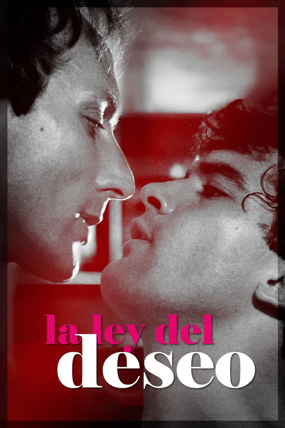 A Lei do Desejo
