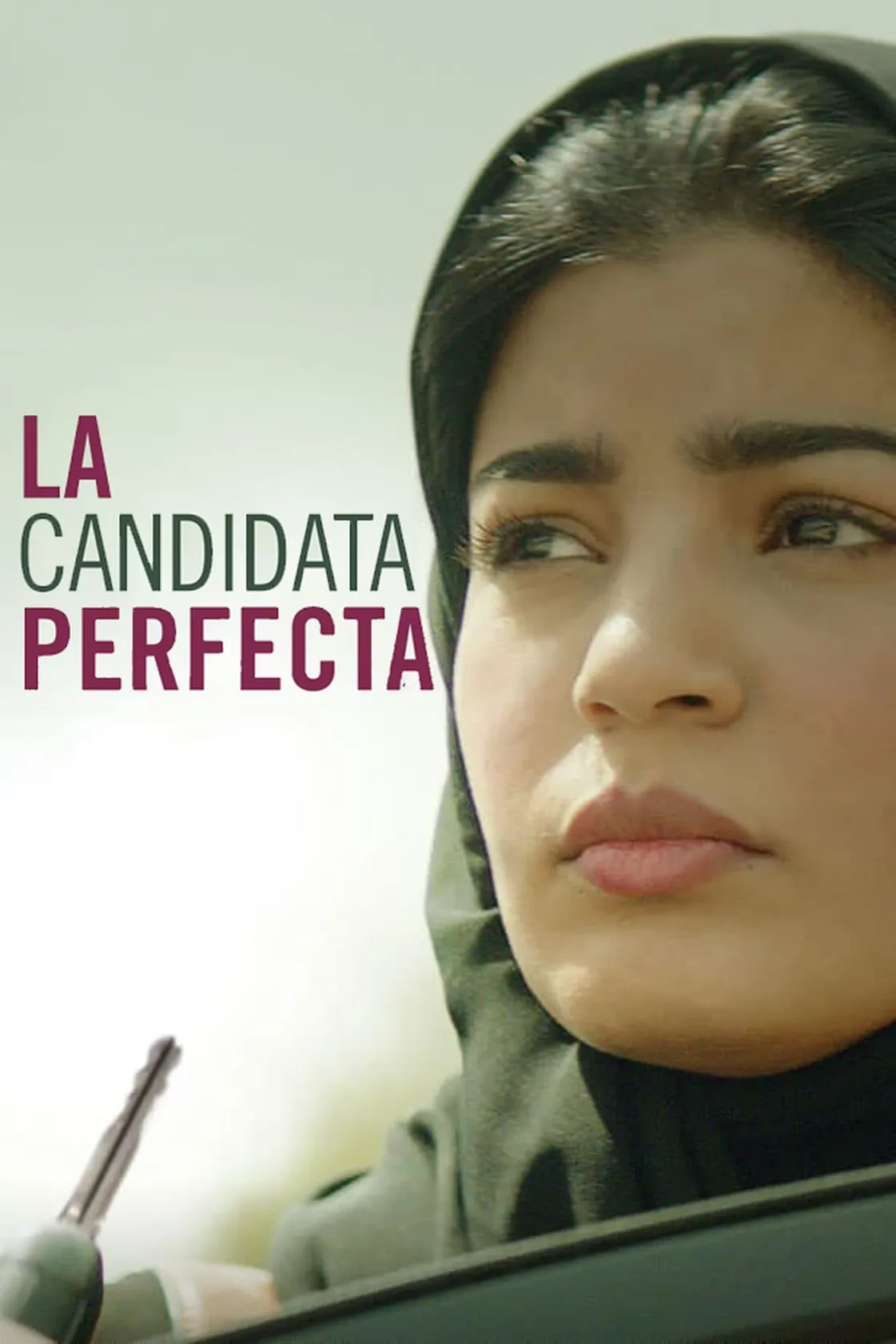 A Candidata Perfeita