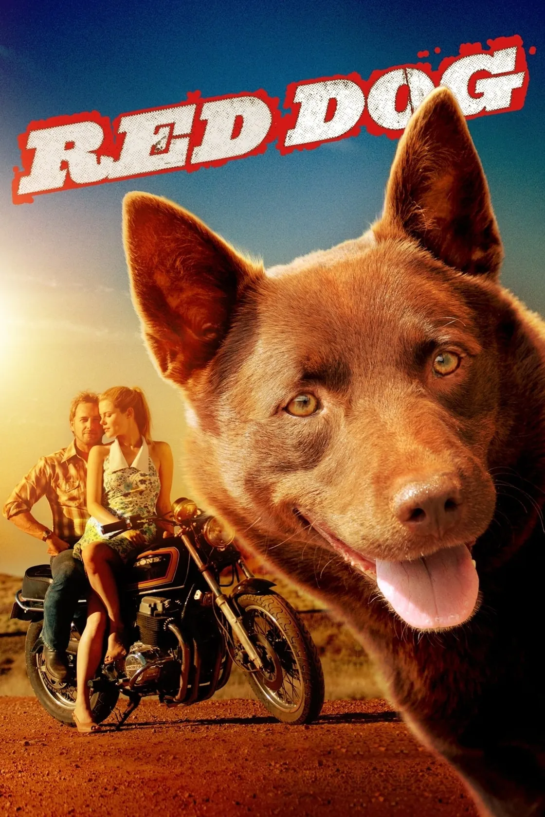 Cão Vermelho