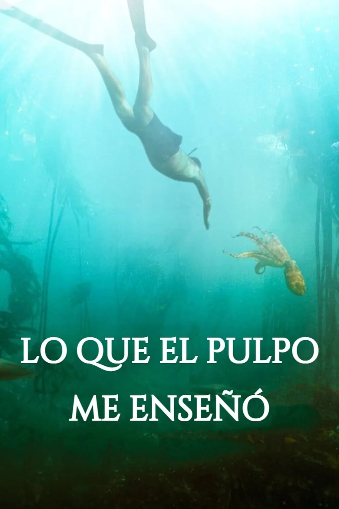Professor Polvo