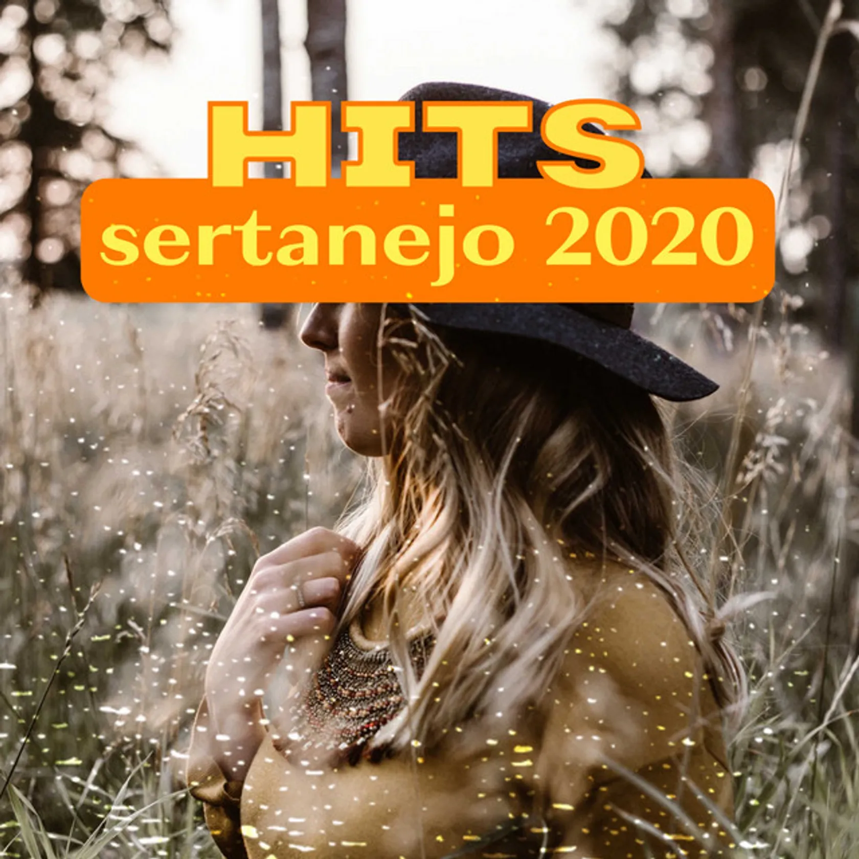 A Mala É Falsa - Ao Vivo