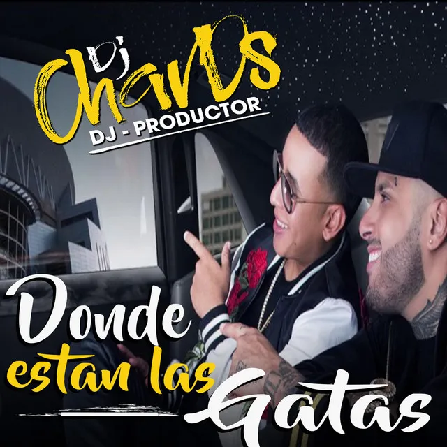 Donde Estan Las Gatas