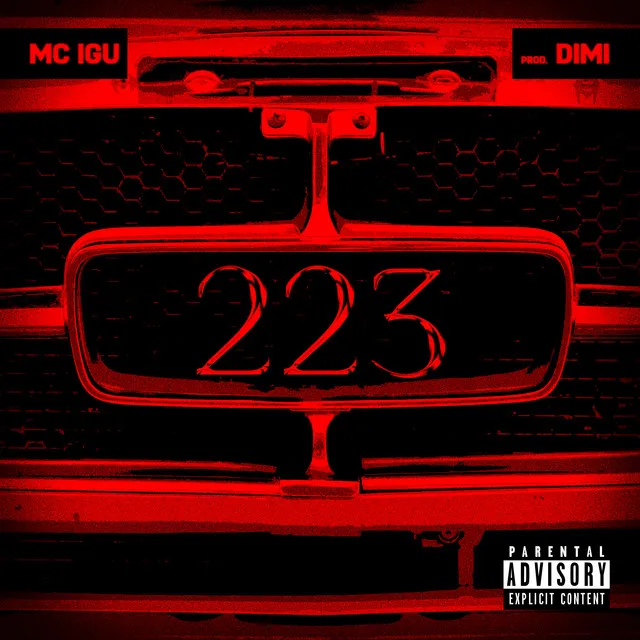 223