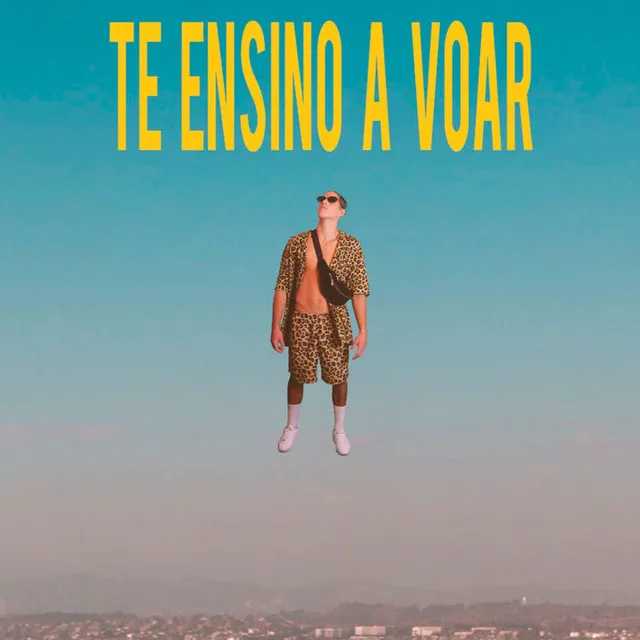 Te Ensino a Voar