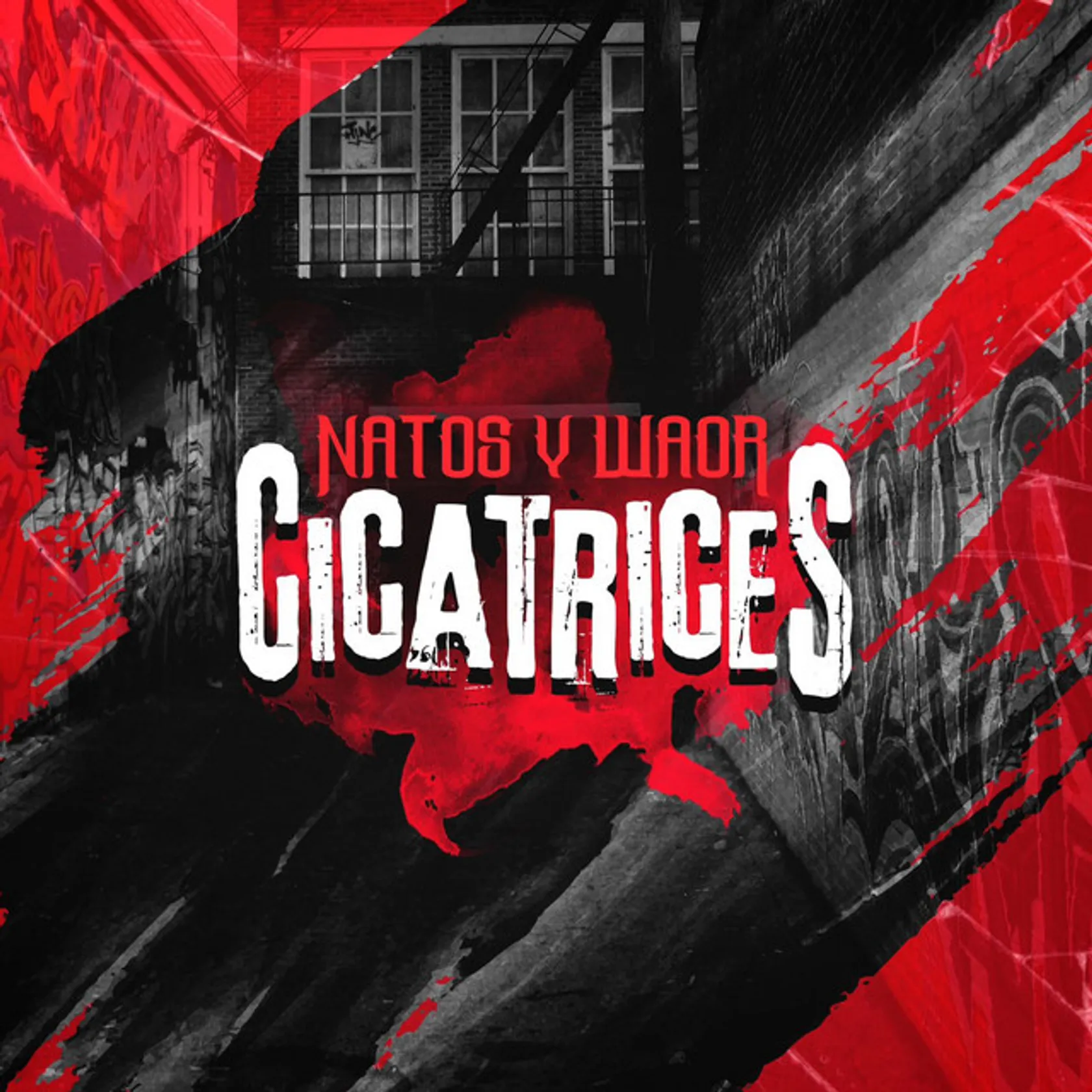 Cicatrices