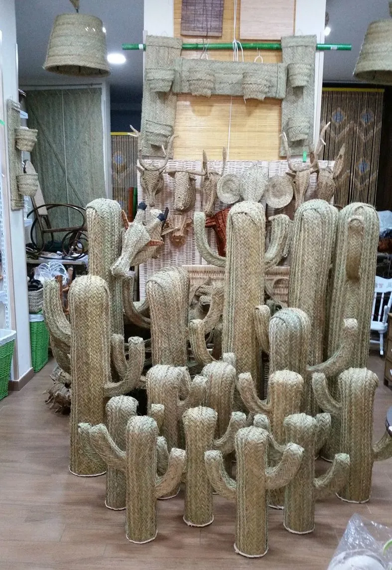 Cesteria Sagon