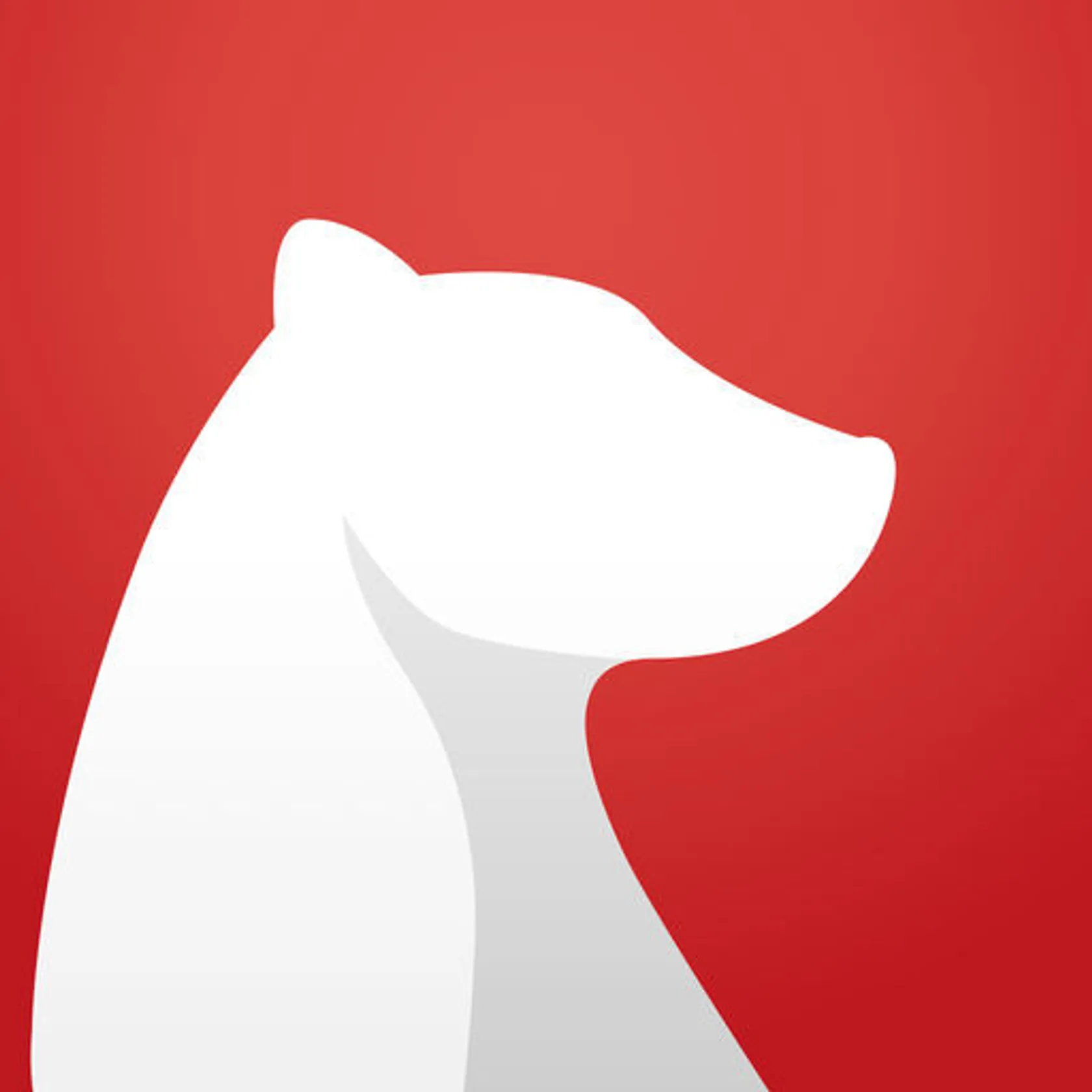 Bear Writer