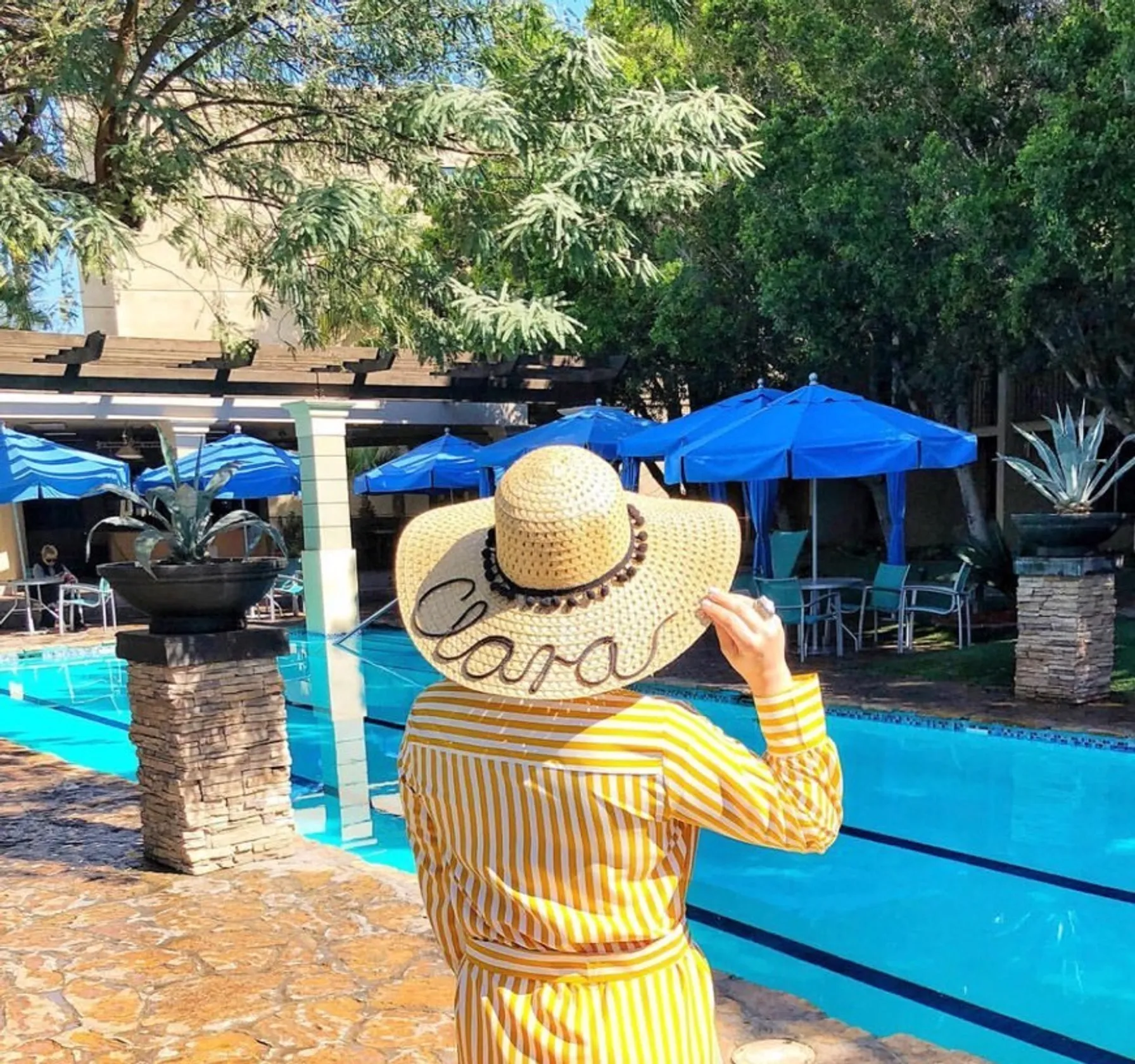 Hotel Araiza