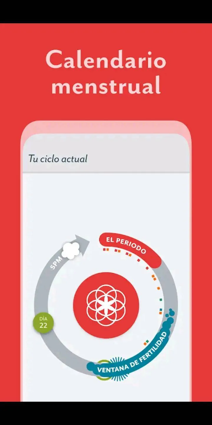 Clue ciclo mentrual