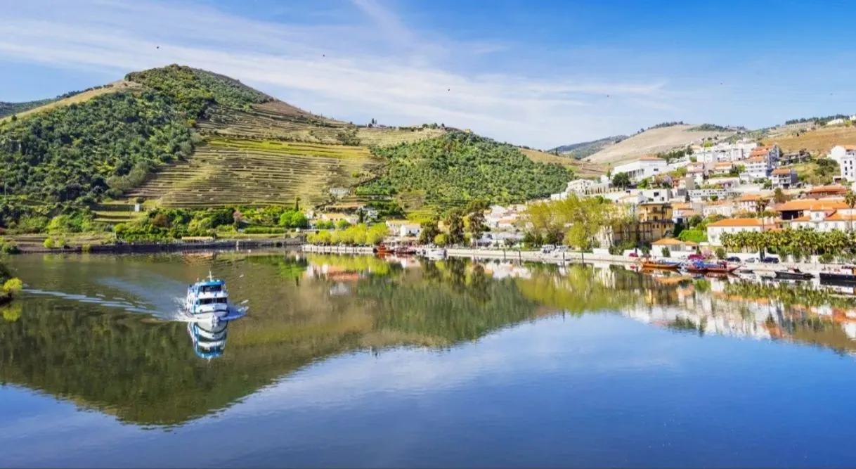 Pinhão