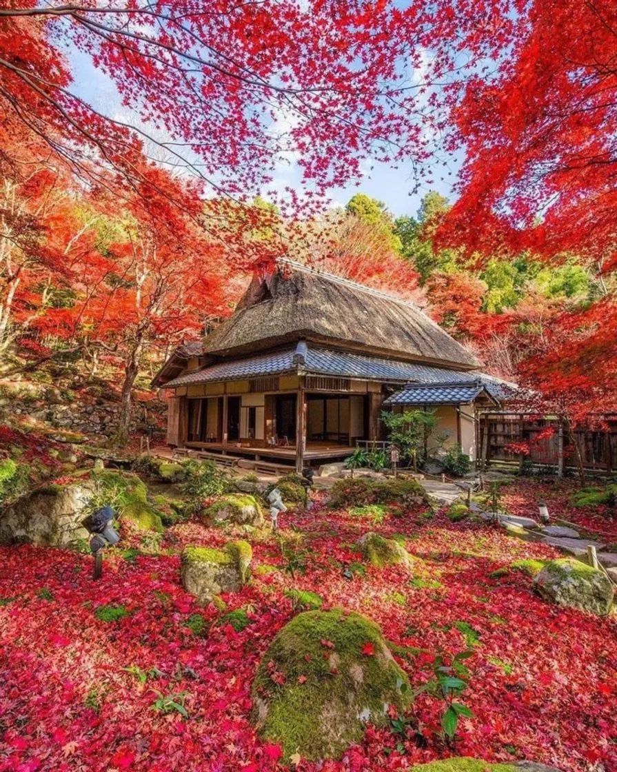 Shiga