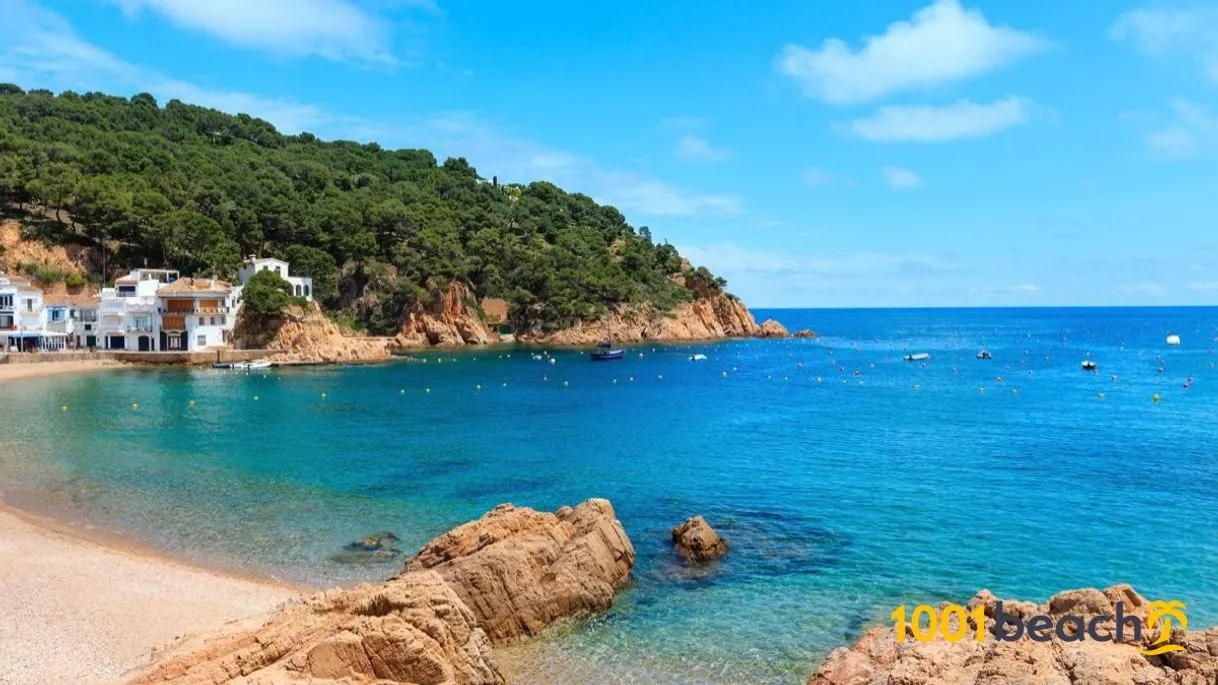 Platja de Tamariu