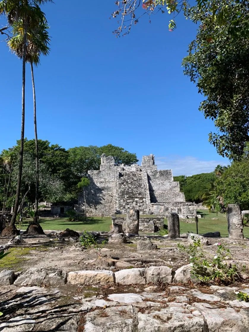 El Meco