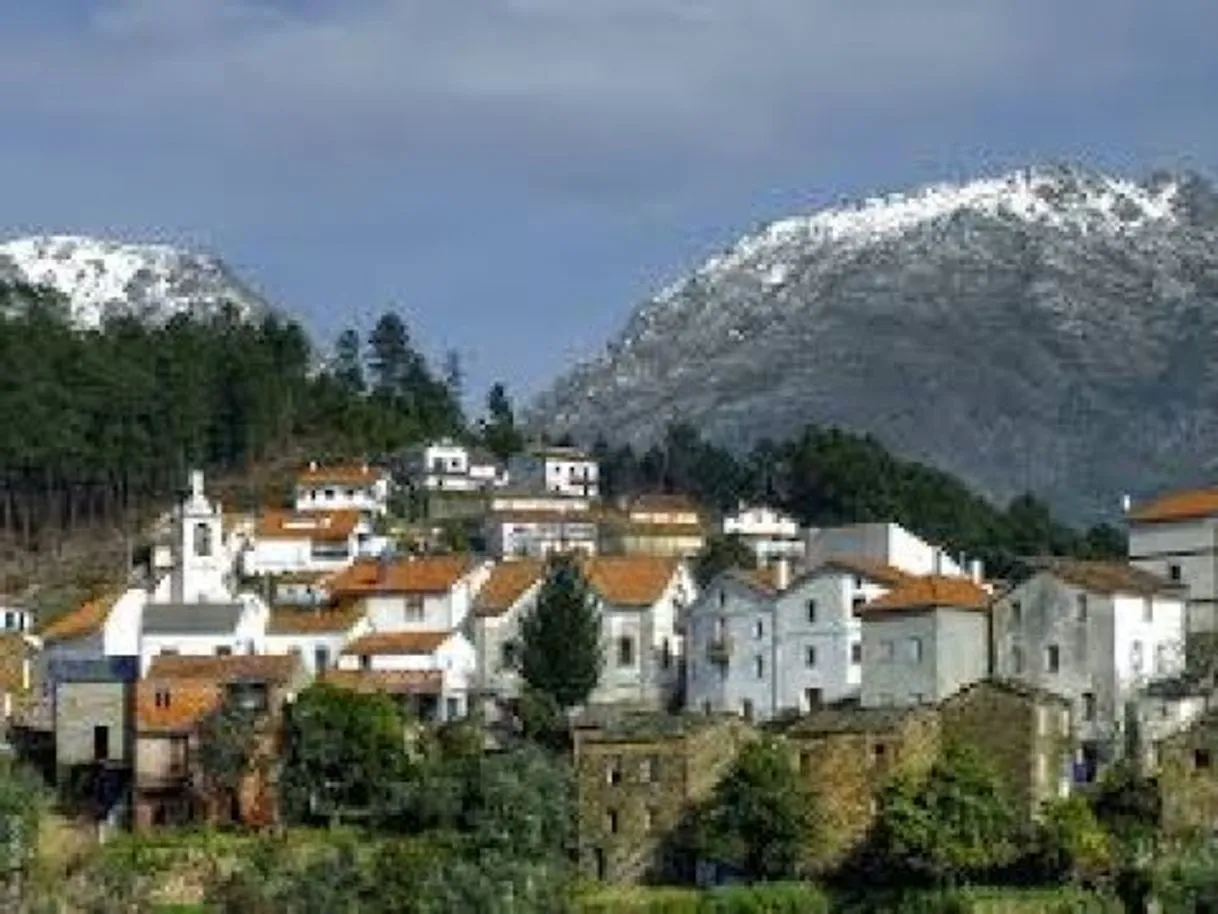 Seia
