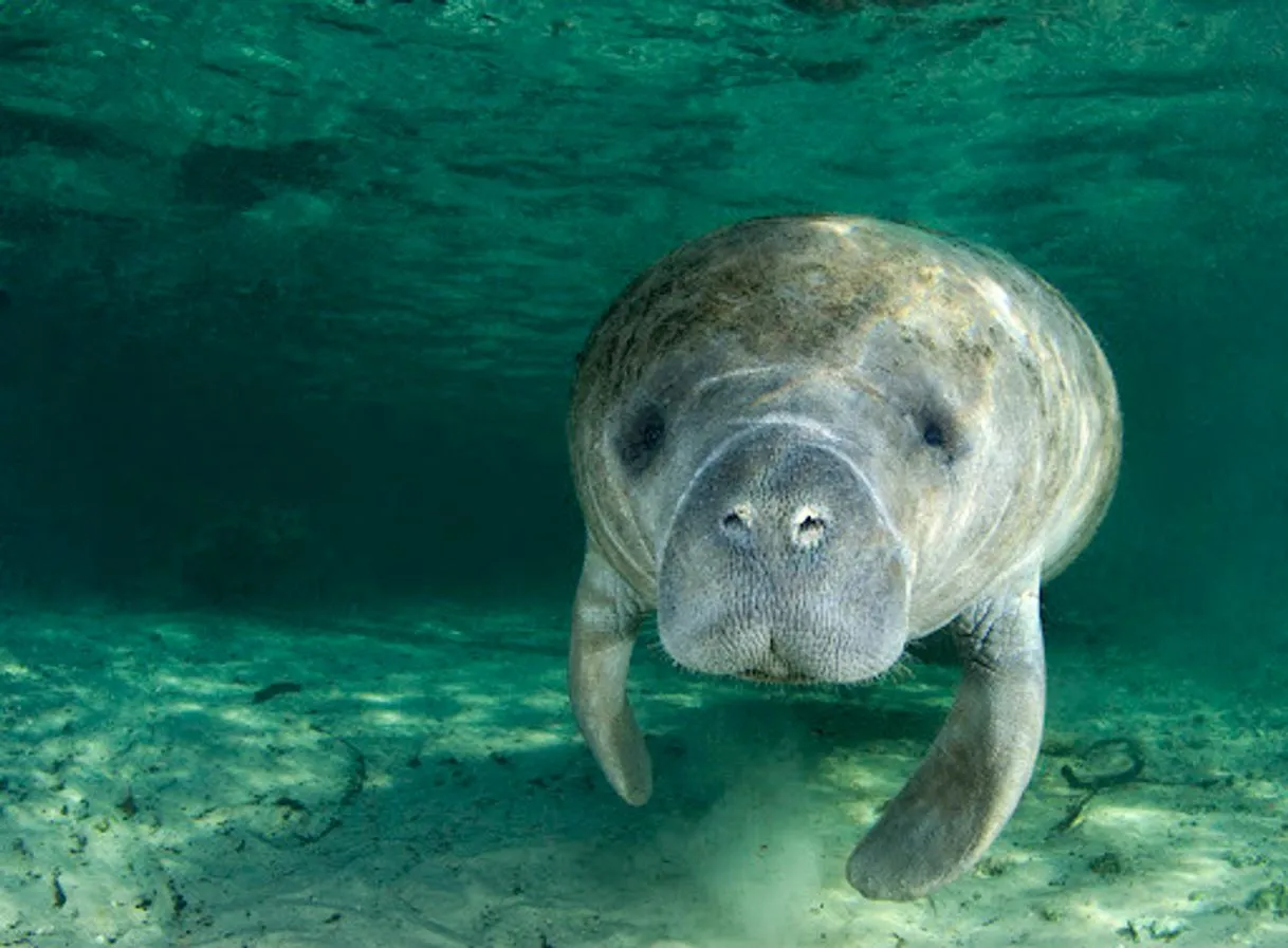 Miami Seaquarium