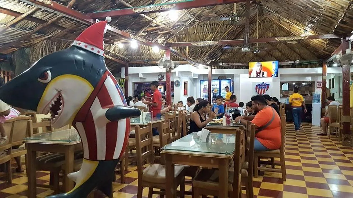 LLANERA LA 31