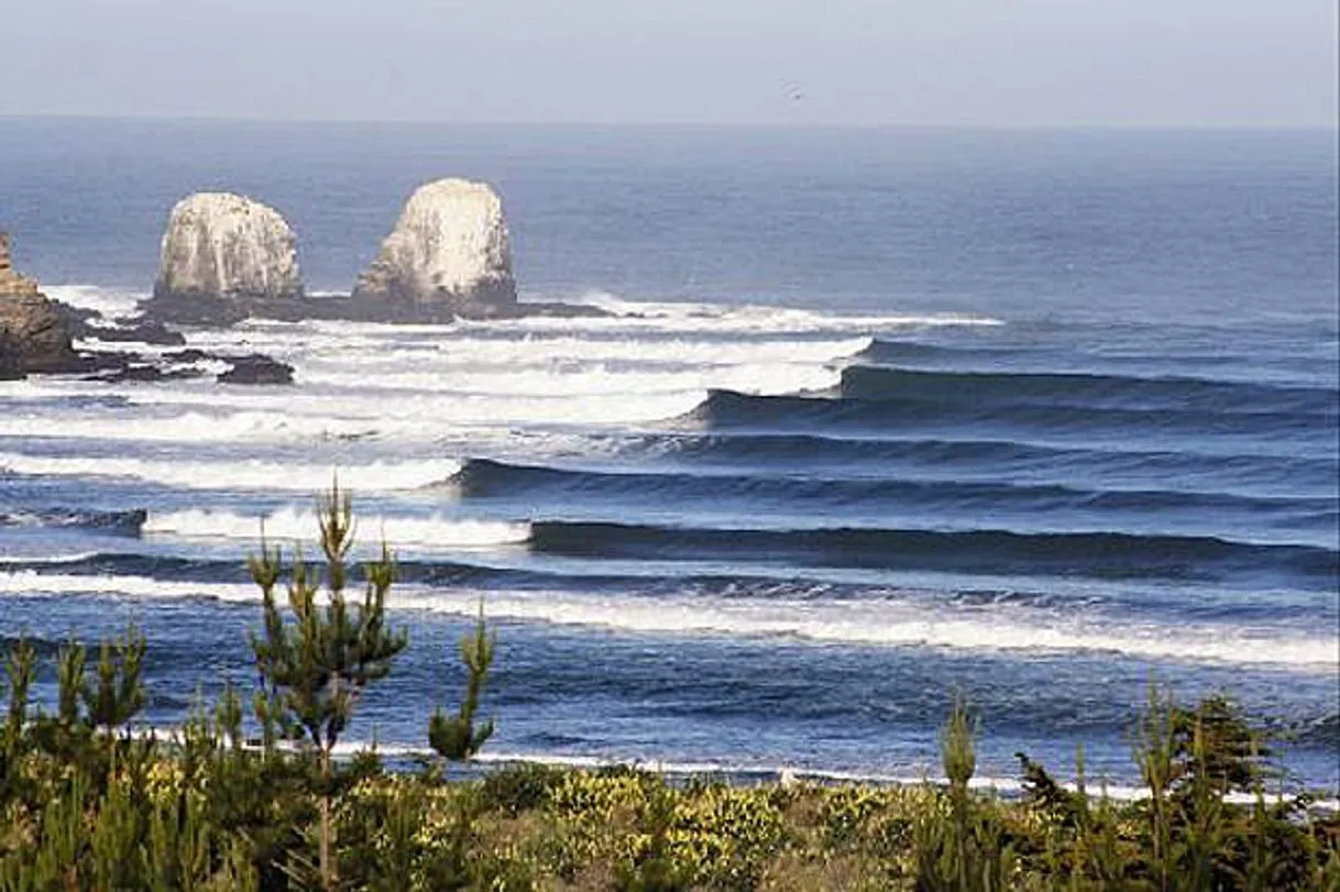 Punta de Lobos