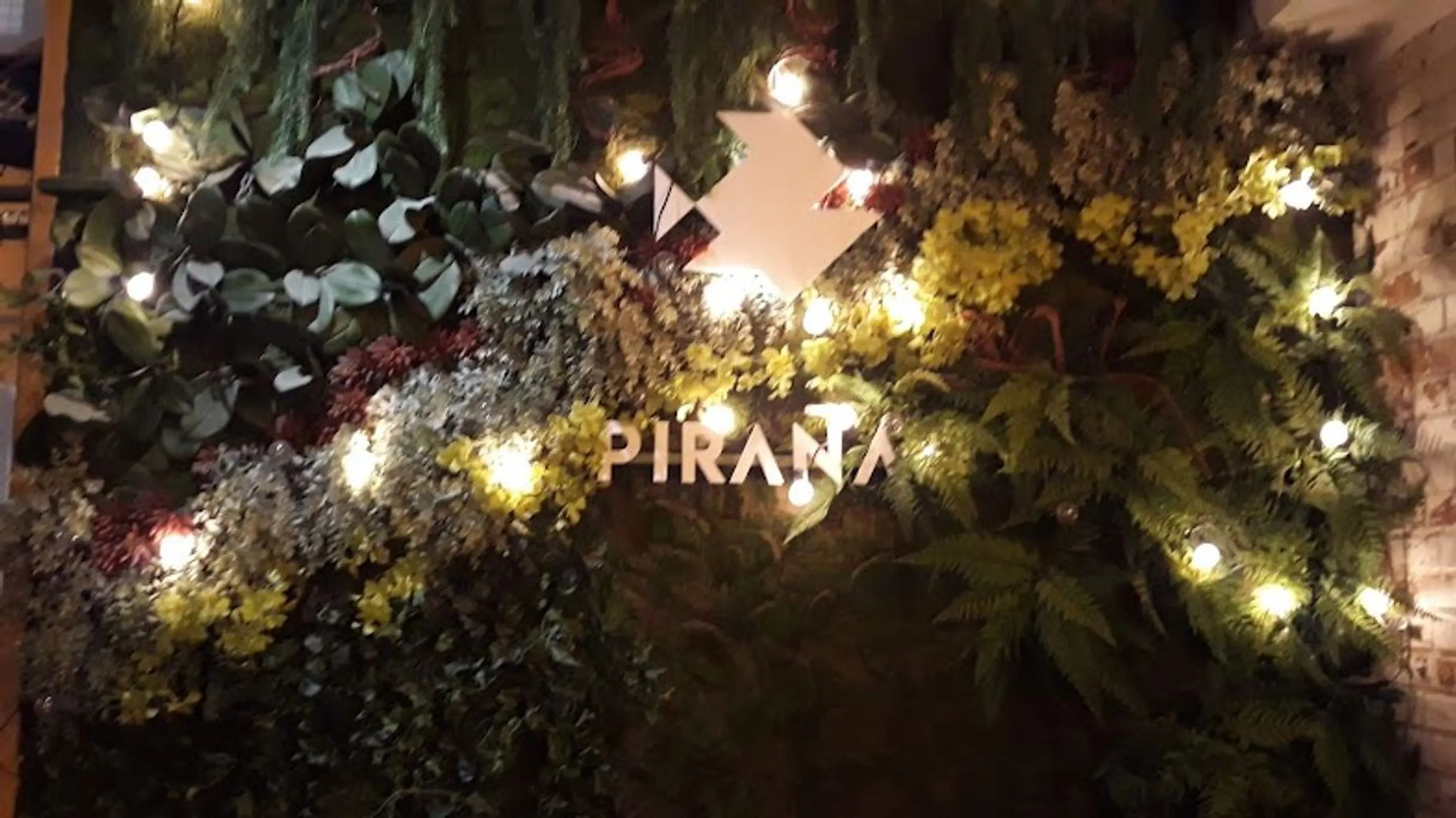 Piraña