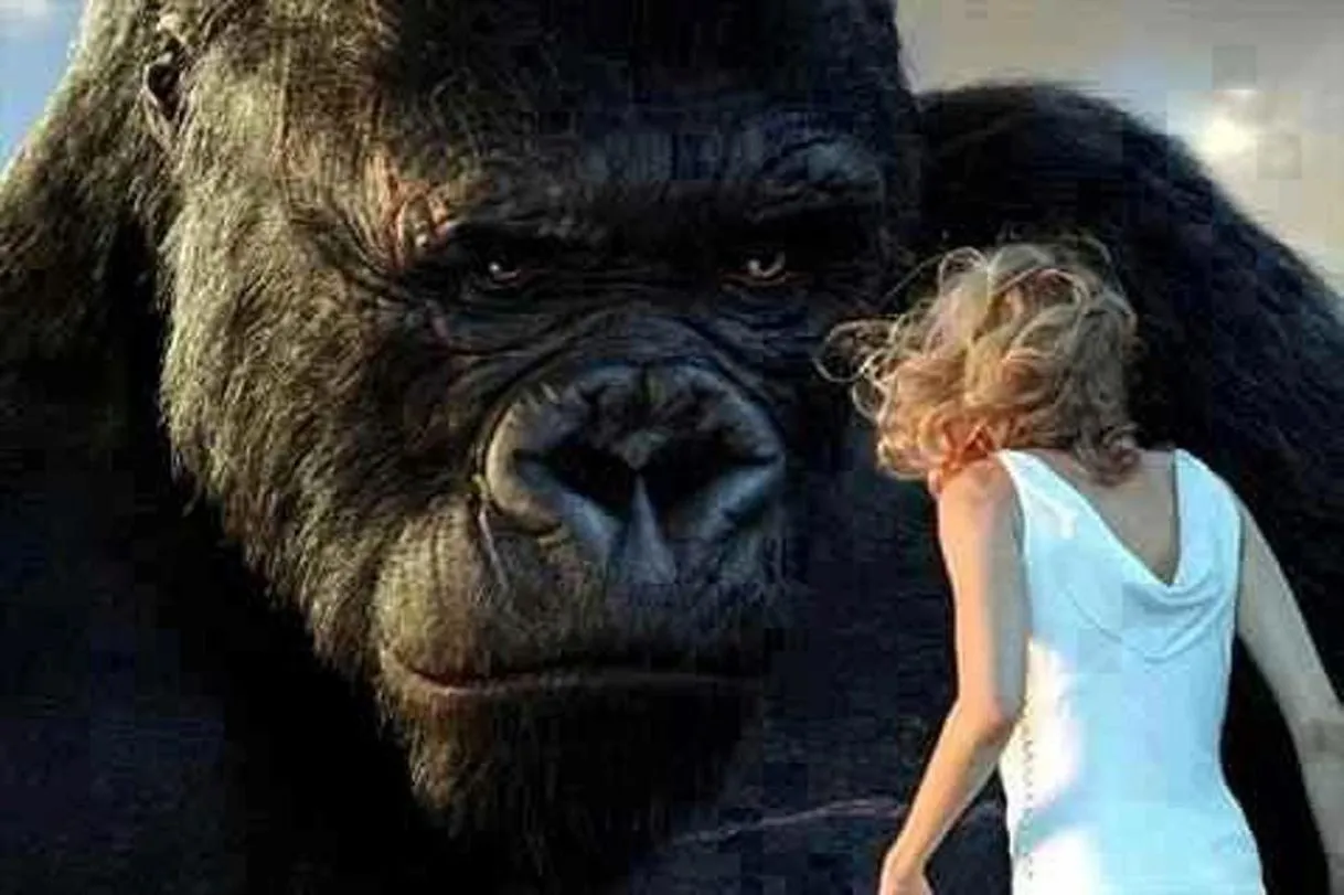 Kingkong