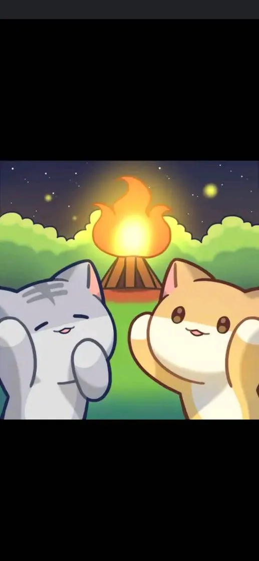 Floresta do Gato