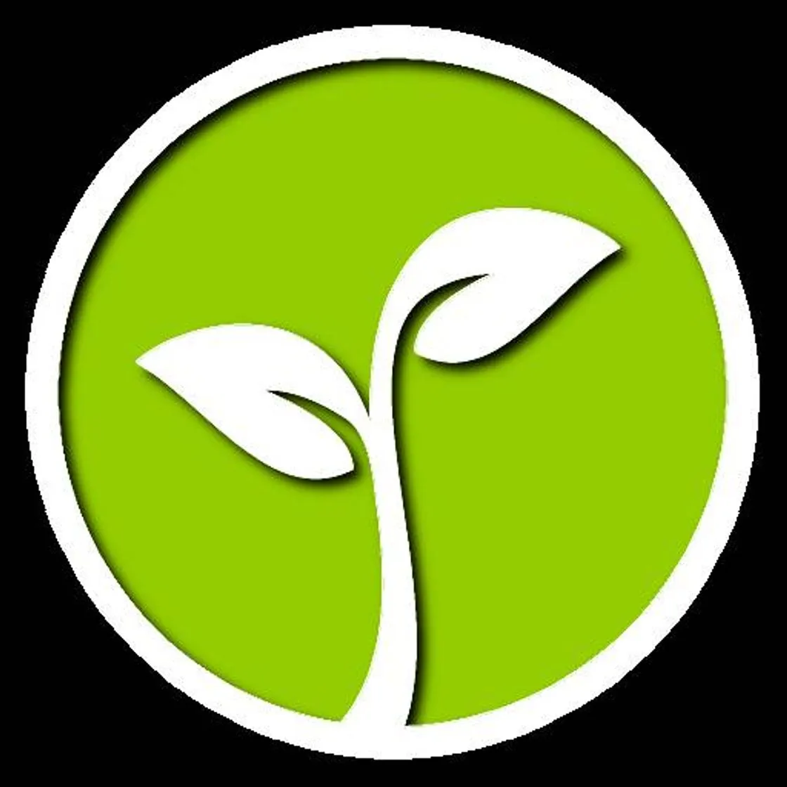 Árbol Afortunado: Planta tu propio árbol