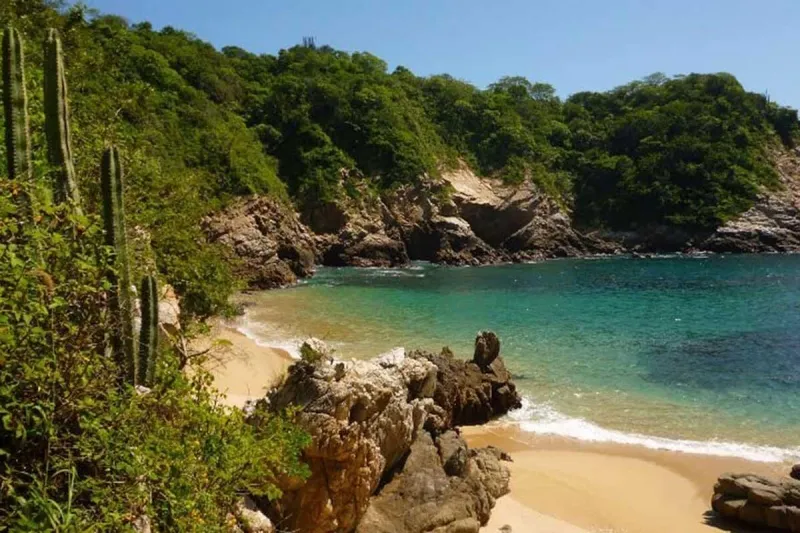 Mazunte