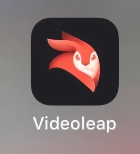 Enlight Videoleap Video Editor on the App Store