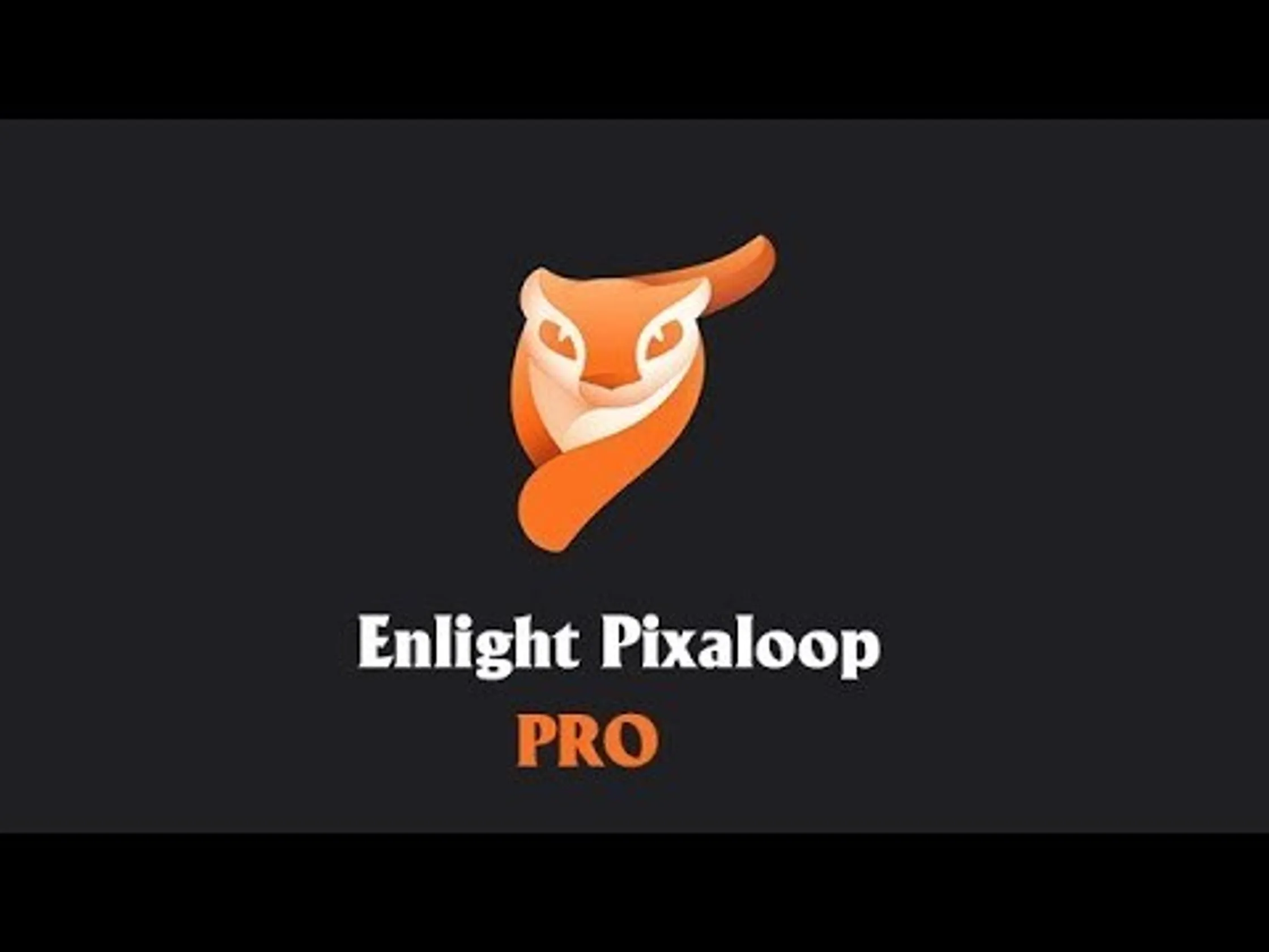 Enlight Pixaloop