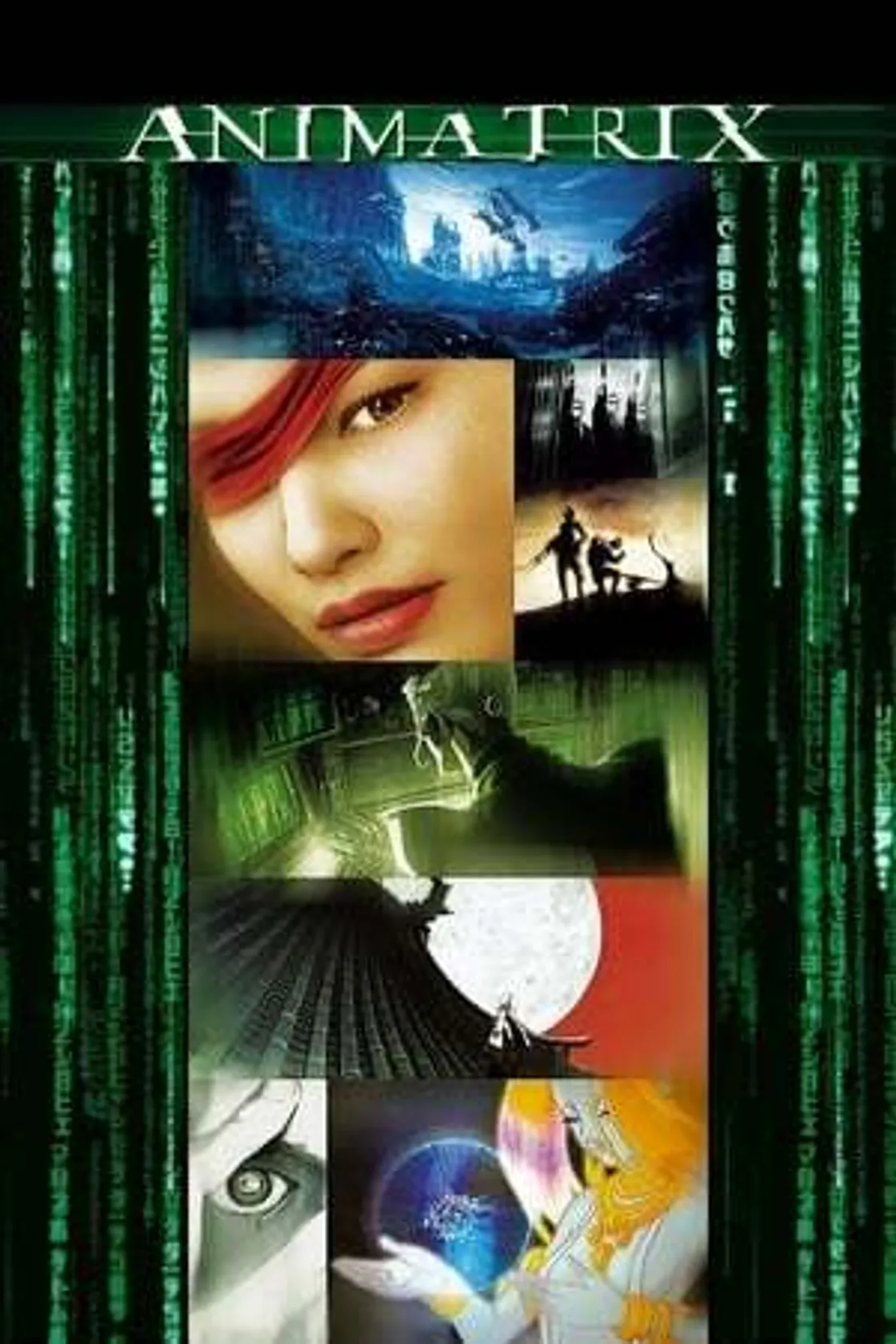 The Animatrix