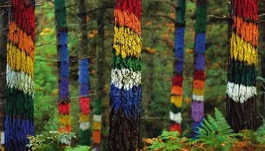 Bosque Oma