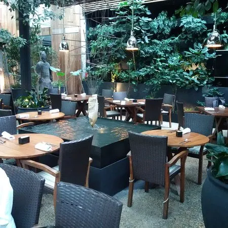 Cafe Ó