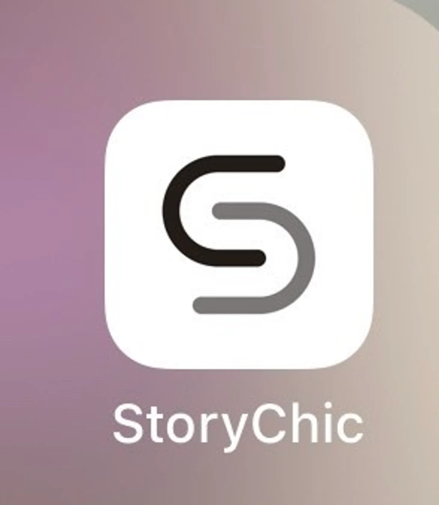 Story Chic