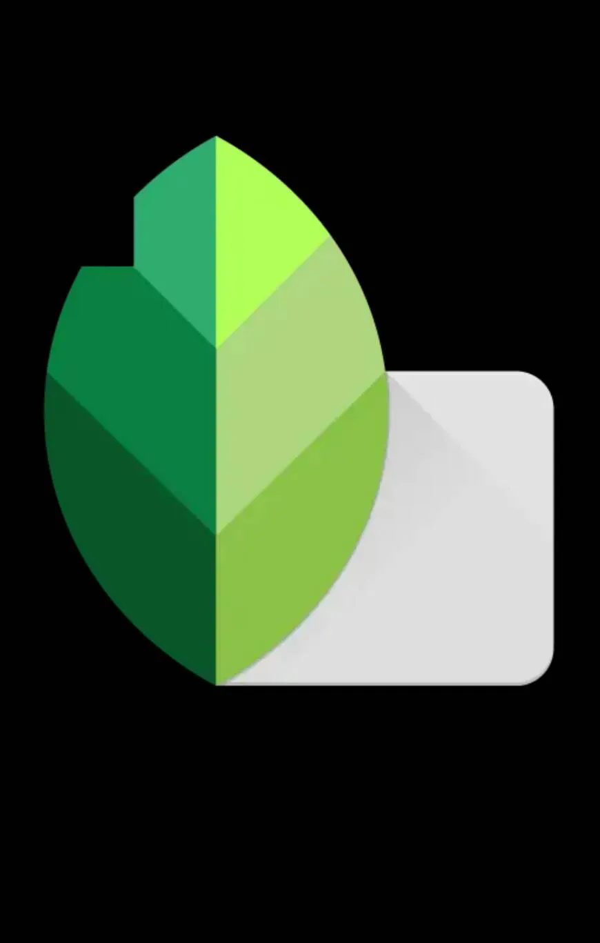 Snapseed - Apps para editar