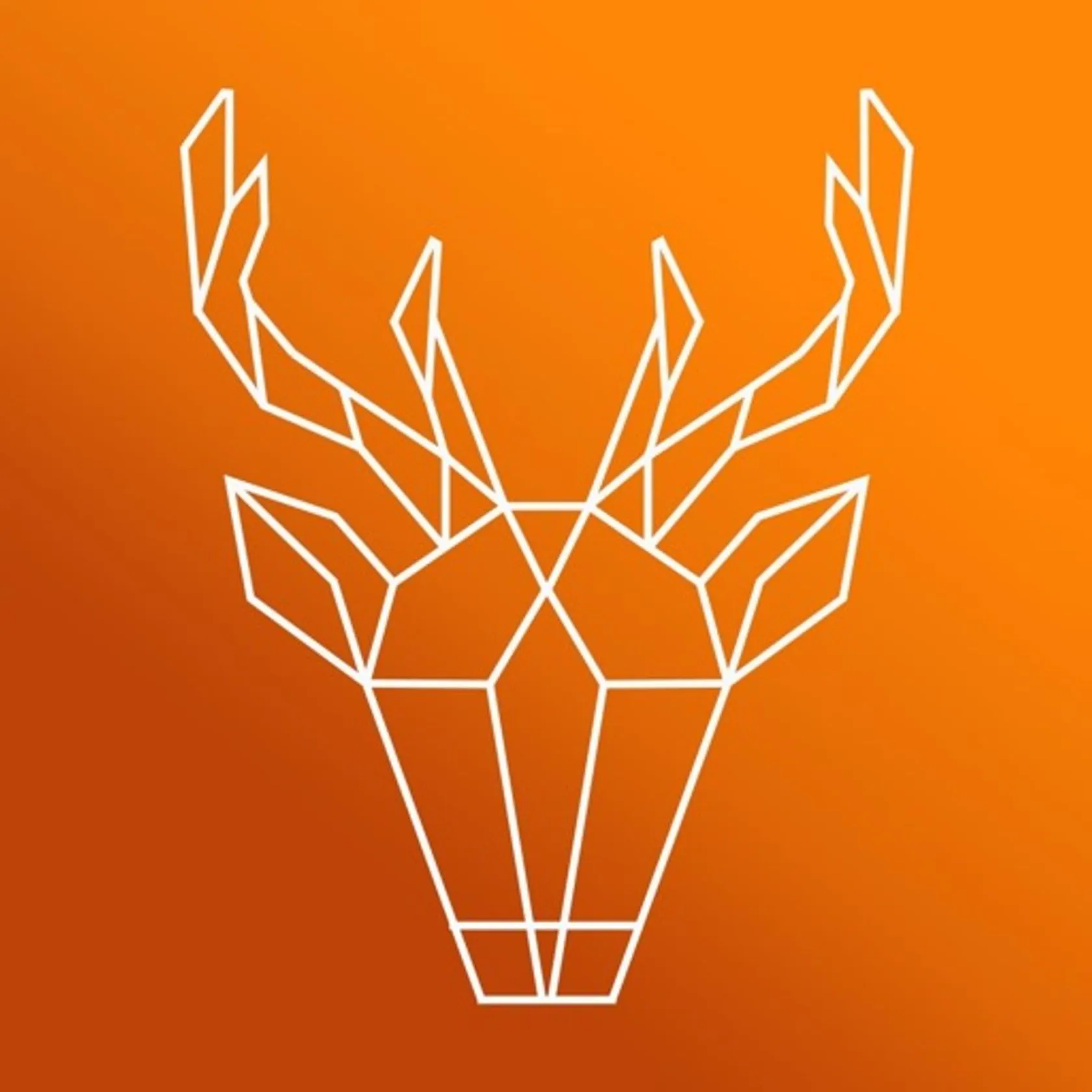 Artemis Pro