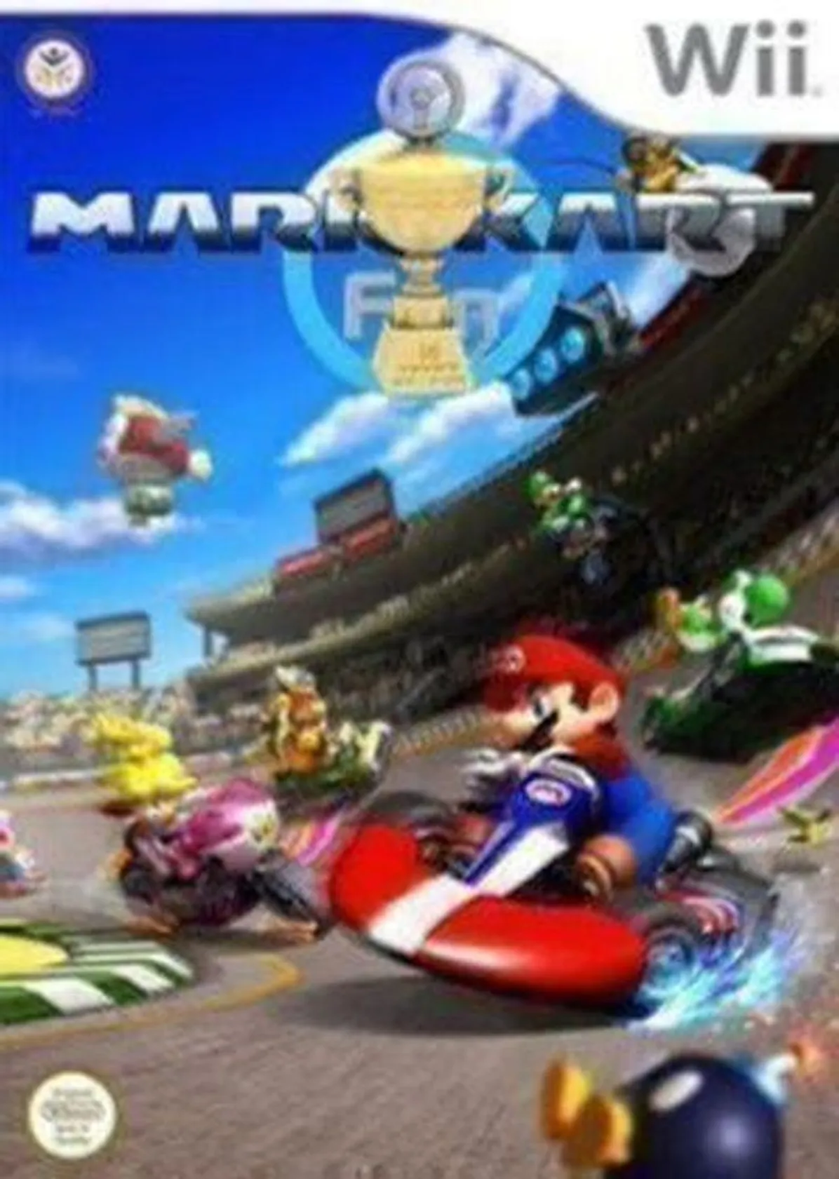 Mario Kart Wii Fun