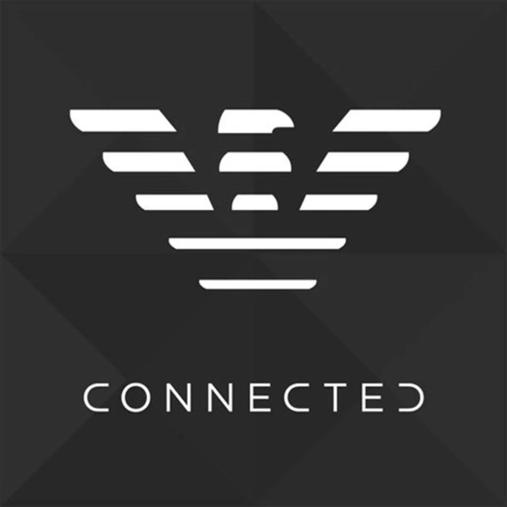 Emporio Armani Connected