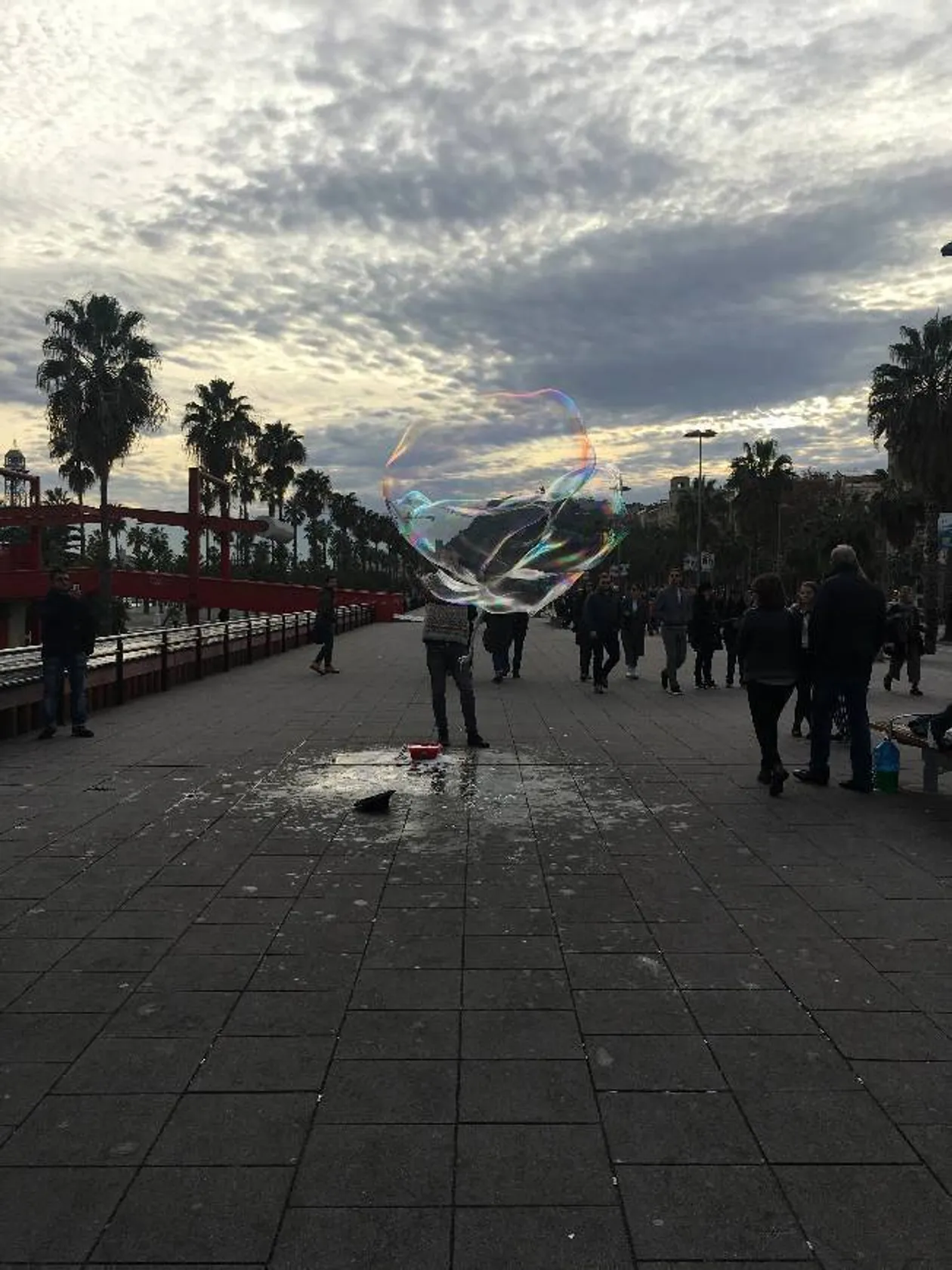 Passeig de Colom