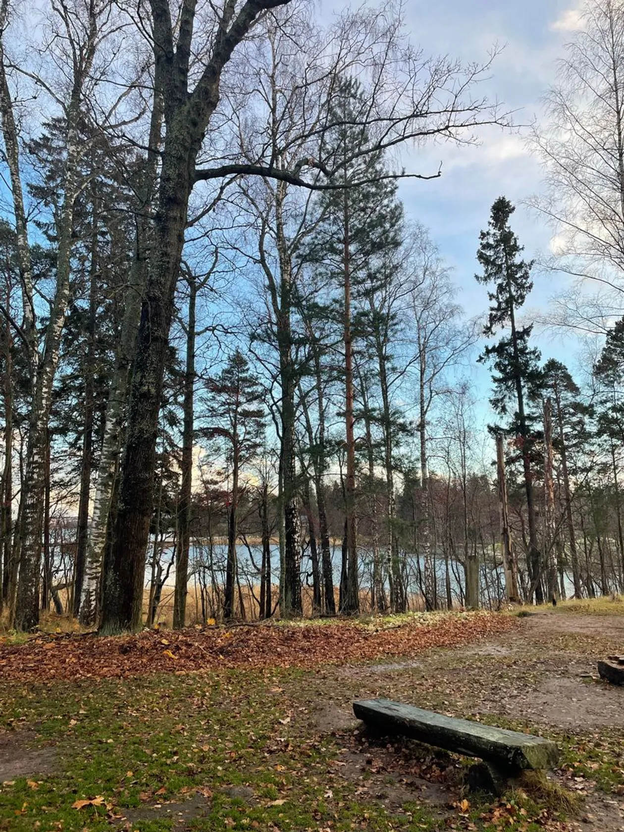 Seurasaari