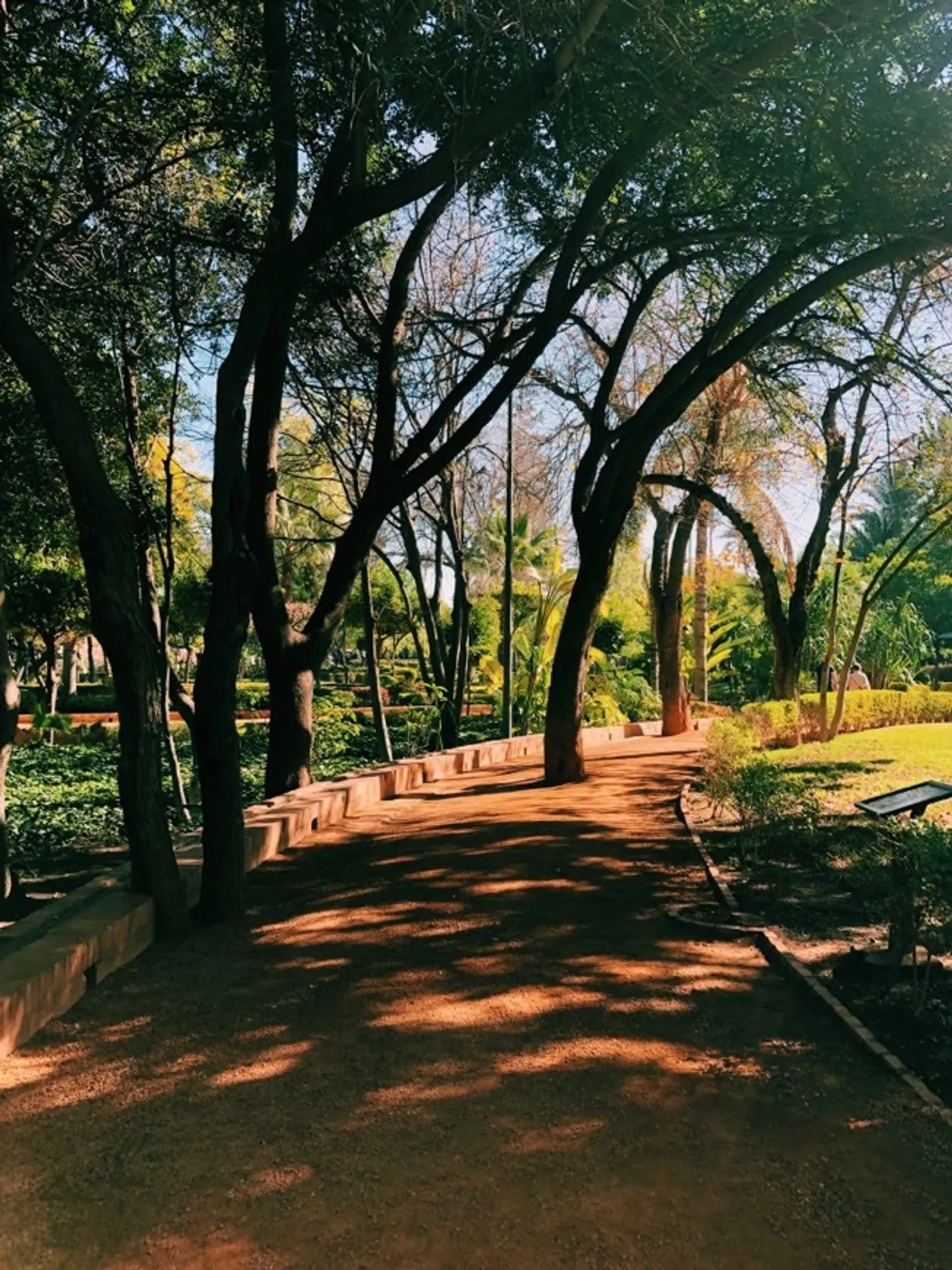 Cyber Park