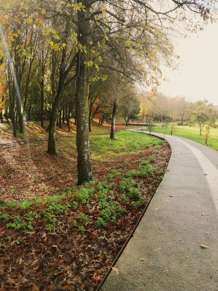 Universidade do Minho - Campus de Azurém