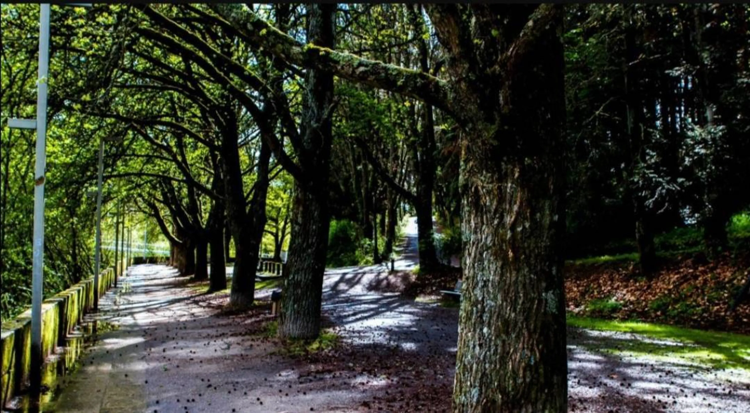 Parque Florestal