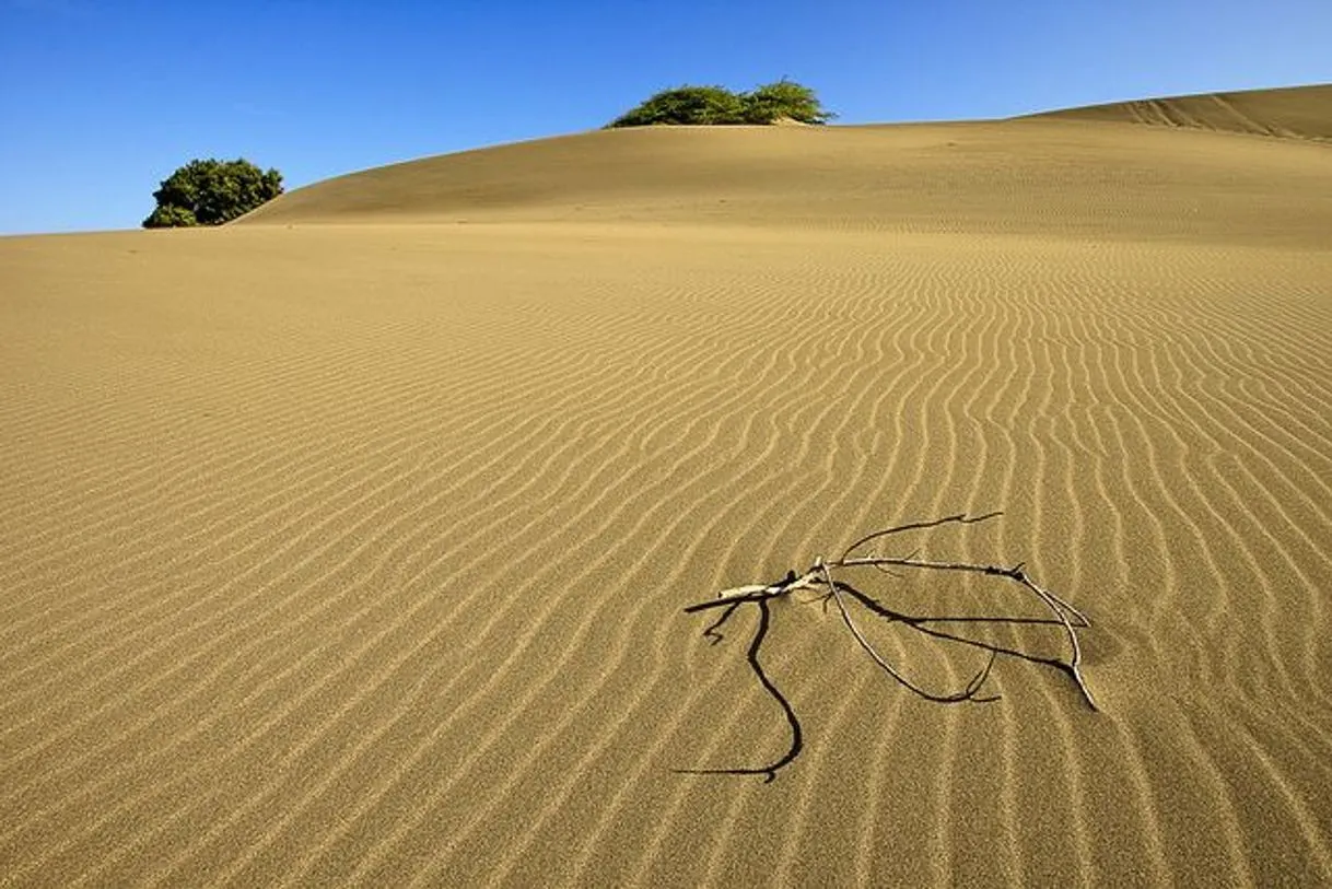 Dunas De Bani,