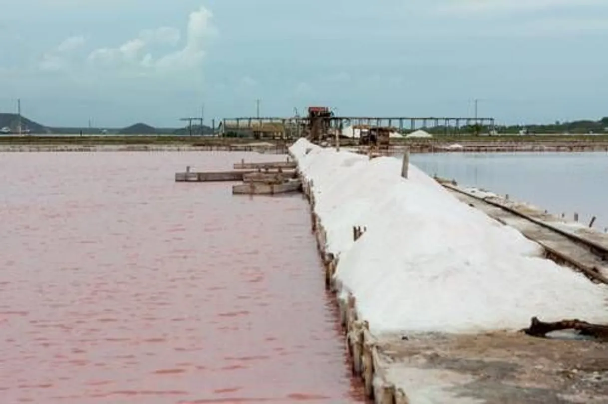 Las Salinas